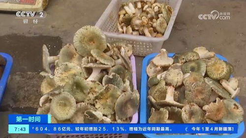 滚动式发展 肉制品及副产品加工的创新之路