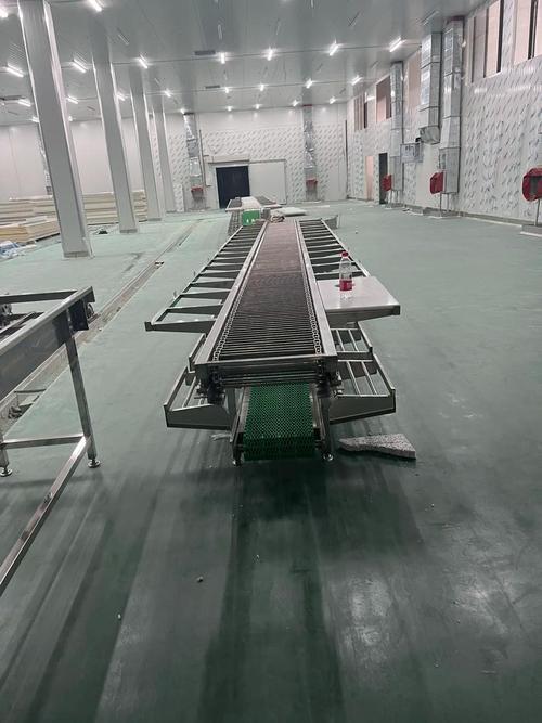 屠宰分割输送线:肉类加工的秘密武器 