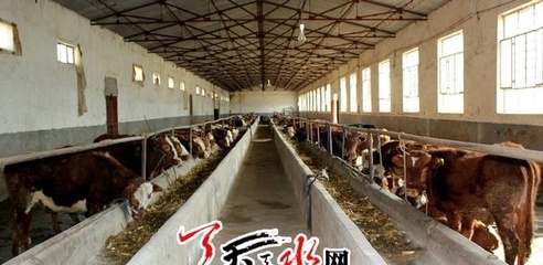 调结构提品质 天水市特色主导产业提速发展 肉制品及副产品加工